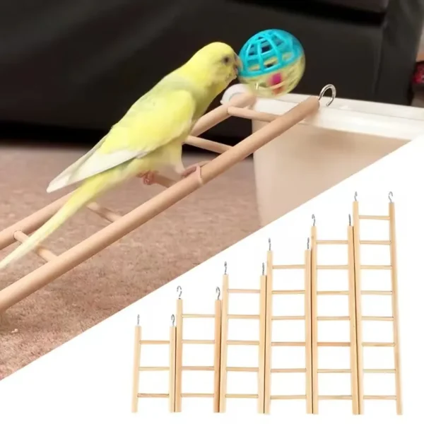 Wooden Bird/Hamster Cage Ladder